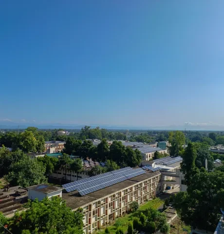 Tailored solar solutions designed to meet the unique energy needs of Gladstone residents.